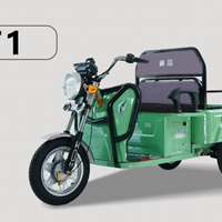 Xe điện chở hàng T1