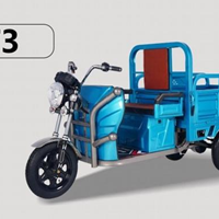 Xe điện chở hàng T3