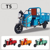 Xe điện chở hàng T5