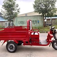 Xe điện chở hàng giá rẻ 1.6 Egale