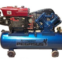 Máy nén khí đầu nổ chạy xăng Pegasus TM-V-0.25/8-100L