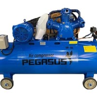 Máy nén khí Pegasus TM-W-0.9/8-330L – 10HP, bình 330L, máy nén khí công nghiệp bền bỉ