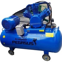 Máy nén khí Pegasus TM-W-1.6/8-500L 15HP – Bình 500L, áp lực 8 Bar
