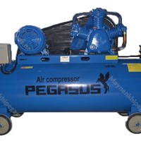Máy nén khí Pegasus TM-W-0.67/12.5-330L – 7.5HP, bình 330L, áp lực 12.5 Bar
