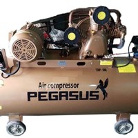 Máy nén khí Pegasus TM-W-0.67/12.5-500L – 7.5HP, bình 500L, áp lực 12.5 Bar