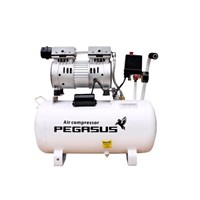 Máy nén khí không dầu Pegasus TM-OF600-25L