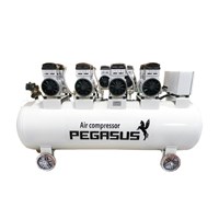 Máy nén khí không dầu Pegasus TM-OF1100x4-300L