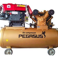 Máy nén khí đầu nổ Diesel Pegasus TM-W-1.6/12.5-500L – 15HP, 500L
