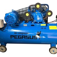 Máy nén khí Pegasus TM-W-0.67/8-330L – 7.5HP, bình 330L, máy nén khí công nghiệp ổn định