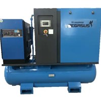 Máy nén khí trục vít Pegasus TMCP30A – 30HP, 16 Bar, có biến tần