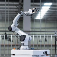 Cánh tay robot chọn và đặt, hàn, xử lý vật liệu công nghiệp CNGBS-G10 