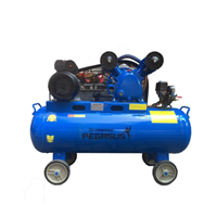 Máy Nén Khí Dây Đai Pegasus 2Hp 70L TM-V-0.17/8-70L