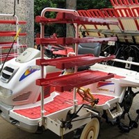 Máy cấy lúa Yanmar VP6 Nhật Bản 6 hàng