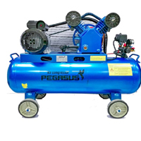 Máy Nén Khí Dây Đai Pegasus 3HP 120L TM-V-0.25/8-120L 380V