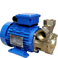 Bơm ma sát bằng đồng thau WULI WPB-70