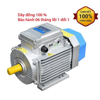 Động cơ motor điện 220V Toàn Phát 1.5Kw 1400v/phút 