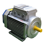 Động cơ motor điện 220V Toàn Phát 3Kw 1400v/phút 