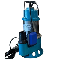 Máy Bơm Chìm 750W Rymaru RY-QS750 (có phao)