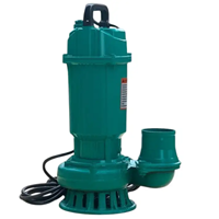 Máy Bơm Chìm Nước Sạch 750W Rymaru RY750B