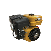Động Cơ Nổ 4 Thì Robin 6HP EX17 