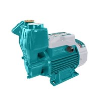 Máy Bơm Nước 750W Total TWP107506