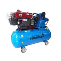 Máy Nén Khí Đầu Nổ Pegasus 7.5Hp 330L TM-W-0.67/12.5