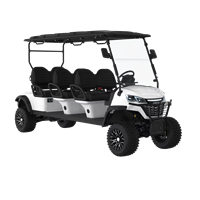 Xe điện chơi golf 6 chỗ ngồi động cơ AC 5kw 48v LQD061 