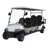 Xe điện chơi golf LQS060A+2 