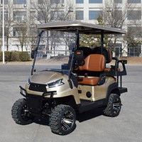Xe golf đa dụng 4 chỗ ngồi R2C màu vàng 