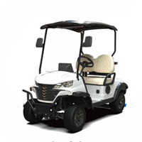 Xe điện chơi golf G-C2