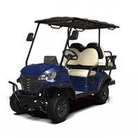 Xe điện chơi golf 4 chỗ G-C2+2