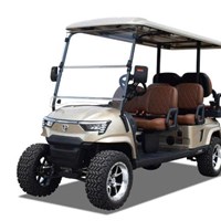 Xe golf đa dụng 6 chỗ ngồi E4C màu vàng 
