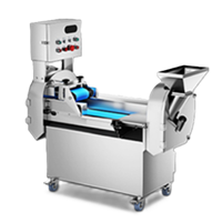 Máy cắt rau củ đa năng CHINENG CN-QCJ-8106-ST-J801 