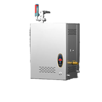 Máy tạo hơi nước treo tường CHINENG CN-DC-B-RZQ-50T