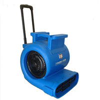 Máy sấy thảm TYPHOON ST810