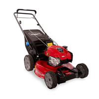 Máy cắt cỏ Toro Recycler S53VST 