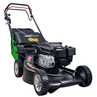 Máy cắt cỏ chạy xăng Active 5400 SH  