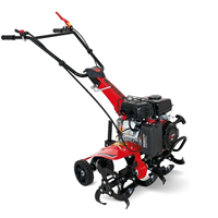Máy xới đất chạy xăng Rato Italian Power RG1.6-56Q-Z