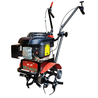 Máy xới đất chạy xăng Benassi BL 20
