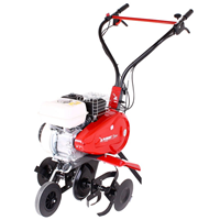 Máy xới đất chuyên nghiệp Pubert Terro 40 H C2