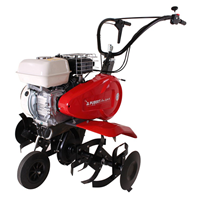 Máy xới đất 4 thì Pubert Aro 40H C3 