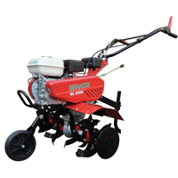 Máy xới đất chạy xăng Benassi BL 6000