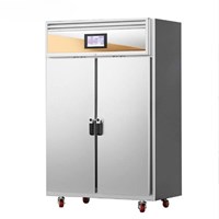 Tủ rã đông 2 cánh CHINENG 