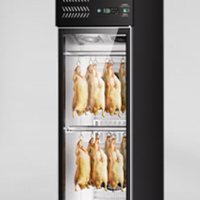 Tủ sấy vịt 1 cánh CHINENG CN-LPG-8003-DM-700FA