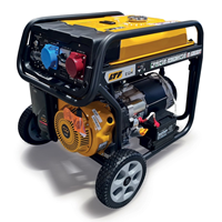 Máy phát điện xăng LTF RP10000EP-SE