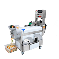 Máy thái rau củ quả đa năng OKASU MG-607