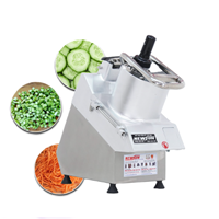Máy thái rau củ quả đa năng OKASU VC65N