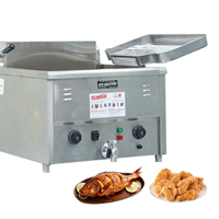 Bếp chiên đơn 50 lít OKASU TB-A23  