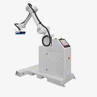 Hệ thống trạm làm việc xếp pallet tự động sử dụng Robot Hualian HPR-40-6 (dành cho thùng carton)