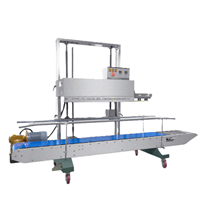 Máy hàn nhiệt liên tục dạng đứng FRM-1370AL/L 